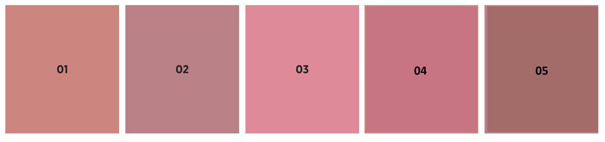 Vaigu sārtums & lūpu spīdums Eveline Wonder Match 4in1 03, 4.5ml cena un informācija | Lūpu krāsas, balzāmi, spīdumi, vazelīns | 220.lv