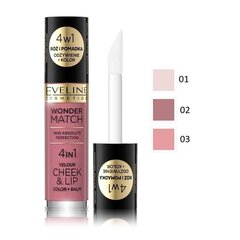 Vaigu sārtums & lūpu spīdums Eveline Wonder Match 4in1 02, 4.5ml cena un informācija | Lūpu krāsas, balzāmi, spīdumi, vazelīns | 220.lv