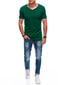 T-krekls vīriešiem Edoti 1242667, zaļš cena un informācija | Vīriešu T-krekli | 220.lv