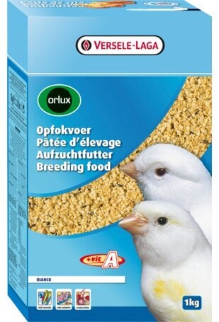 Barība baltajiem kanārijputniņiem Versele-Laga Breedingfood Bianco, 1 kg cena un informācija | Putnu barība | 220.lv