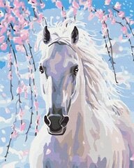 Картинка Раскрась! Рисование по номерам. Лошадь в цветущей сакуре цена и информация | Живопись по номерам | 220.lv