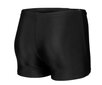 Peldbikses zēniem Arena Swim Short Graphic Black цена и информация | Peldbikses zēniem | 220.lv