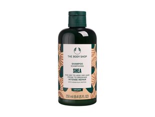 Šampūns The Body Shop Shea, 250 ml cena un informācija | Šampūni | 220.lv