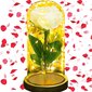 Mūžīgā roze stiklā Springos HA7443 cena un informācija | Stabilizētās rozes, augi | 220.lv