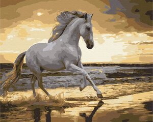 Картинка Раскрась! Рисование по номерам. Лошадь на побережье цена и информация | Живопись по номерам | 220.lv