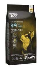 PrimaDog Puppy Chicken & Potato bezglutēna sausā barība kucēniem ar vistas gaļu, 10 kg cena un informācija | Sausā barība suņiem | 220.lv