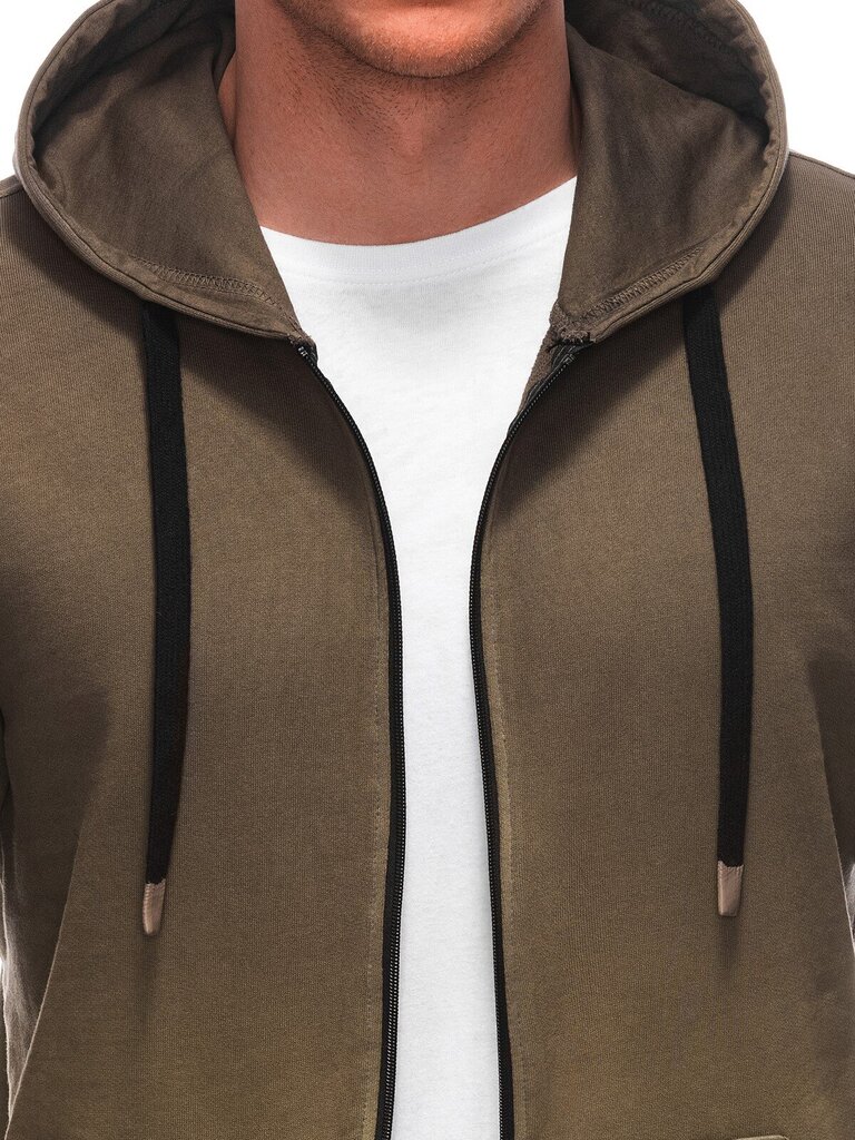 Džemperis vīriešiem Edoti Ombre Clothing -SSWS-0127, zaļš cena un informācija | Vīriešu jakas | 220.lv