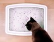 Silikona kaķu pakaišu komplekts, komplekts - ANIMAL LITTER, 10x3,8 L cena un informācija | Smiltis un pakaiši | 220.lv