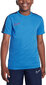 T-krekls zēniem Nike DX5482 435, zils cena un informācija | Zēnu krekli | 220.lv