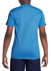 T-krekls zēniem Nike DX5482 435, zils цена и информация | Рубашки для мальчиков | 220.lv