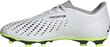 Futbola apavi Adidas Predator Accuracy.4 FxG, 46 2/3. izmērs, balti/zaļi cena un informācija | Futbola apavi | 220.lv
