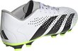 Futbola apavi Adidas Predator Accuracy.4 FxG, 46 2/3. izmērs, balti/zaļi cena un informācija | Futbola apavi | 220.lv