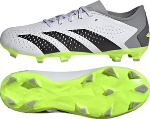 Бутсы футбольные Adidas Predator Accuracy.3 L FG, размер 47 1/3, серого/зеленого цвета цена и информация | Футбольные ботинки | 220.lv