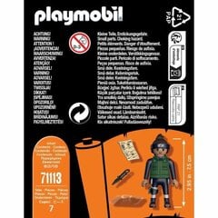 Figūra Playmobil Iruka cena un informācija | Rotaļlietas zēniem | 220.lv
