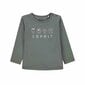 Esprit krekls zēniem, zaļš cena un informācija | Zēnu krekli | 220.lv