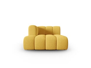 Atpūtas krēsls Interieurs 86 Skyler, dzeltens cena un informācija | Dīvāni | 220.lv