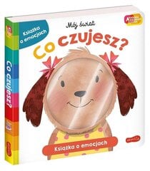 Книга Что ты чувствуешь?  цена и информация | Книги для самых маленьких | 220.lv