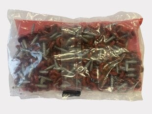 Кровельные шурупы Ruukki LP, RR29, 4,8х28 мм, 100 шт. цена и информация | Крепежные изделия | 220.lv