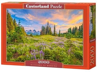 Delione ar ainavu Castorland, 2000 det. cena un informācija | Puzles, 3D puzles | 220.lv