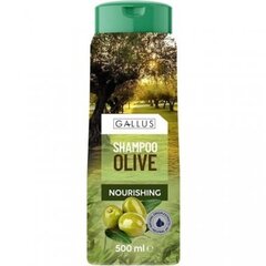 Barojošs šampūns visiem matu tipiem Gallus Olive,500 ml cena un informācija | Šampūni | 220.lv