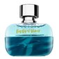 Tualetes ūdens Hollister Festival Vibes for Him EDT vīriešiem, 100 ml цена и информация | Vīriešu smaržas | 220.lv