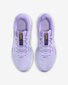 Nike sieviešu skriešanas apavi Downshifter 13, violeti цена и информация | Sporta apavi sievietēm | 220.lv