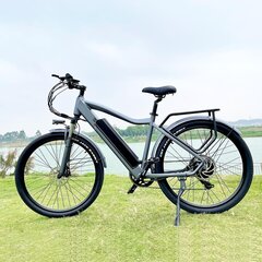 Elektriskais velosipēds Cmacewheel F26, 29", pelēks цена и информация | Электровелосипеды | 220.lv