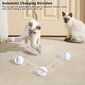 Kaķu bumbiņu rotaļlieta Wwvvpet цена и информация | Rotaļlietas kaķiem | 220.lv