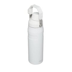 Thermobottle The Aerolight IceFlow Water Bottle Fast Flow 0.6L White цена и информация | Термосы, термокружки | 220.lv