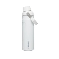 Thermobottle The Aerolight IceFlow Water Bottle Fast Flow 0.6L White цена и информация | Термосы, термокружки | 220.lv