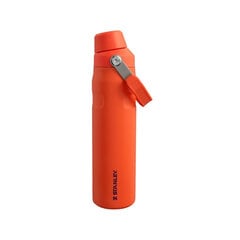 Termopudele The Aerolight IceFlow Water Bottle Fast Flow 0.6L oranža cena un informācija | Termosi, termokrūzes | 220.lv