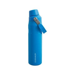 Thermobottle The Aerolight IceFlow Water Bottle Fast Flow 0.6L blue цена и информация | Термосы, термокружки | 220.lv