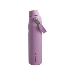 Thermo Bottle The Aerolight IceFlow Water Bottle Fast Flow 0.6L светло-фиолетовый цена и информация | Термосы, термокружки | 220.lv