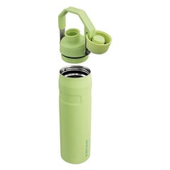 Stanley pudele The Aerolight Iceflow, 600 ml cena un informācija | Termosi, termokrūzes | 220.lv