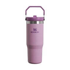 Термобутылка с соломинкой The IceFlow Flip Straw Tumbler 0,89 л белая цена и информация | Термосы, термокружки | 220.lv