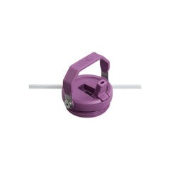 Termopudele ar salmiņu The IceFlow Flip Straw Tumbler 0,89L gaiši violeta cena un informācija | Termosi, termokrūzes | 220.lv
