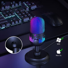 USB микрофон Ezy AK-1I RGB 48khz/16bit цена и информация | Микрофоны | 220.lv