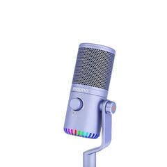 USB микрофон Sudotack DM30 RGB -4dBFS цена и информация | Микрофоны | 220.lv