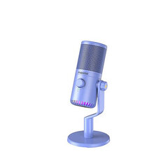 USB микрофон Sudotack DM30 RGB -4dBFS цена и информация | Микрофоны | 220.lv