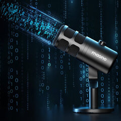 USB микрофон Sudotack PD100U type-c 192khz/24bit цена и информация | Микрофоны | 220.lv