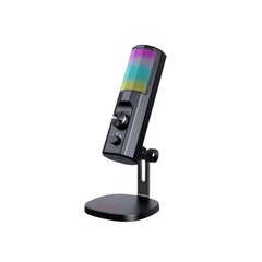 USB микрофон Taidu TSP206 RGB type-c 3.5mm цена и информация | Микрофоны | 220.lv