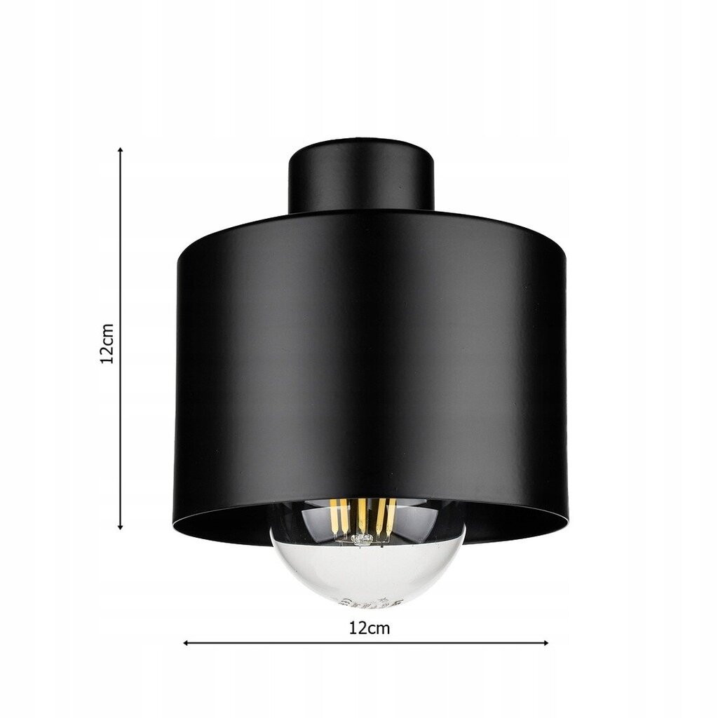 Led-lux griestu lampa цена и информация | Griestu lampas | 220.lv