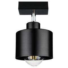 Led-lux griestu lampa цена и информация | Потолочные светильники | 220.lv