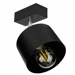 Led-lux потолочный светильник  цена и информация | Потолочный светильник | 220.lv