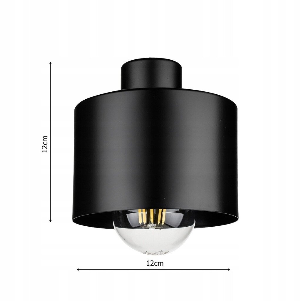 Led-lux griestu lampa cena un informācija | Griestu lampas | 220.lv