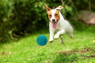 Игрушка Happet Баскетбольный мяч Z594 4 см цена и информация | Игрушки для собак | 220.lv