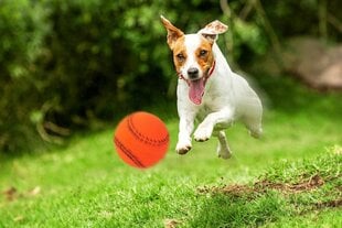 Игрушка бейсбольный мяч Happet 40 мм оранжевый цена и информация | Игрушки для собак | 220.lv