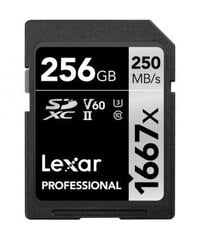 Lexar Professional Sdhc/Sdxc 1667X цена и информация | Карты памяти для фотоаппаратов | 220.lv