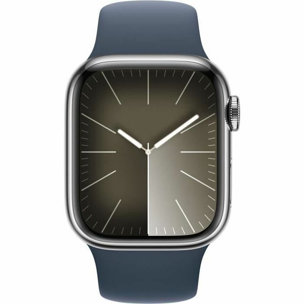 Apple Series 9 41 mm blue silver S7193090 цена и информация | Viedpulksteņi (smartwatch) | 220.lv