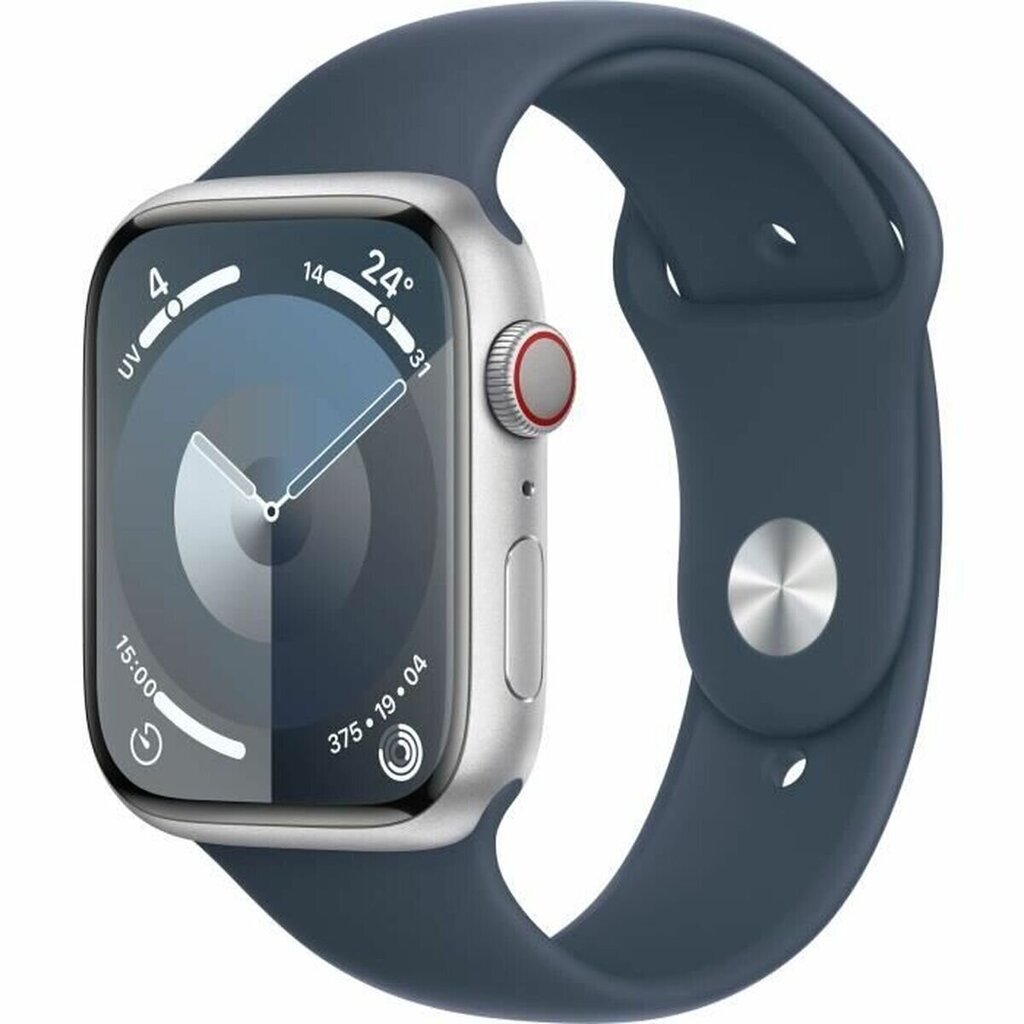 Apple Series 9 45 mm blue silver S7193118 cena un informācija | Viedpulksteņi (smartwatch) | 220.lv